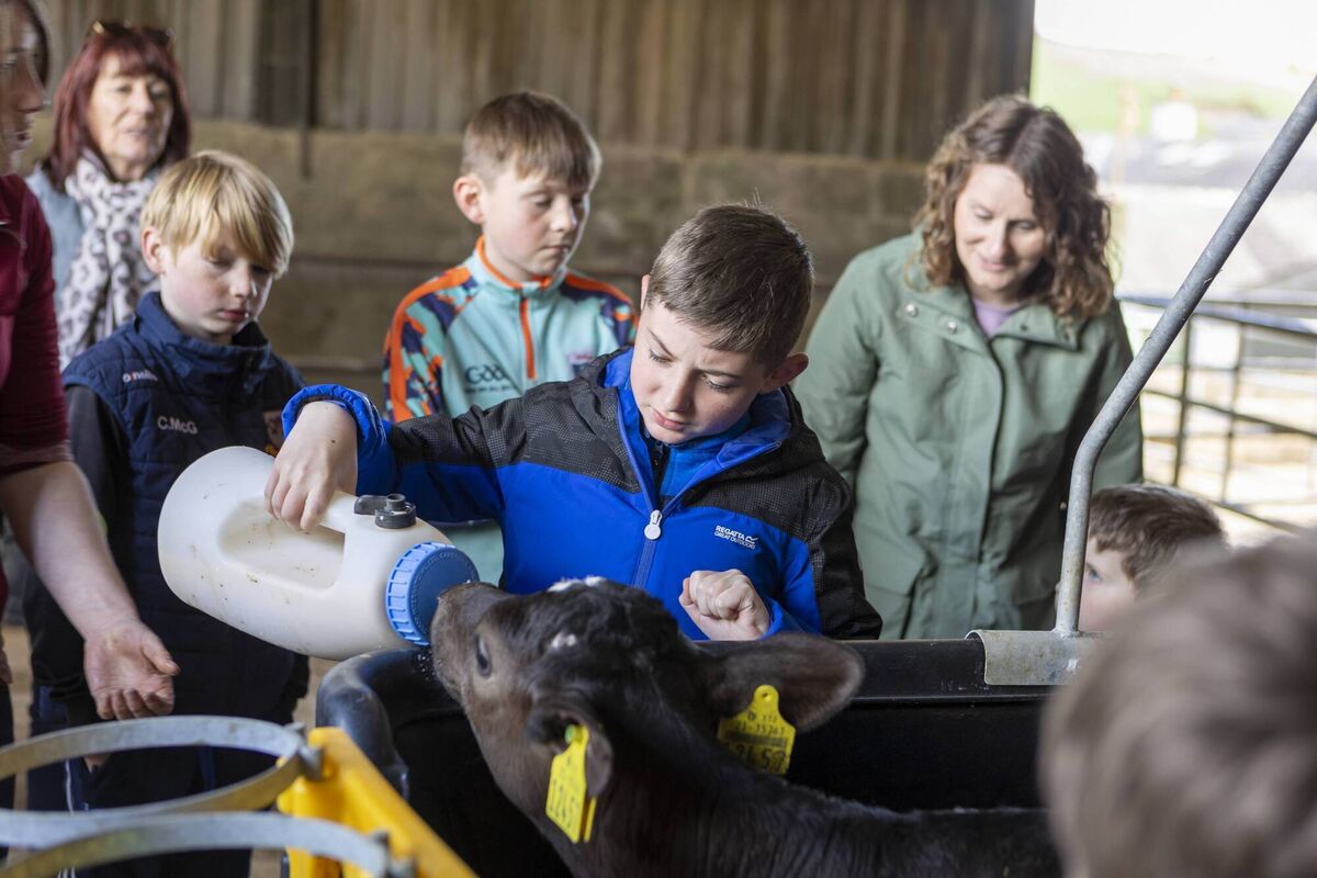 Michael Carey (10) feeding a calf at O'Sullivan's farm on the Family Farm Bus Tour in Colligan as part of the West Waterford Festival of Food. The event is one of Ireland’s oldest food festivals. Michael Carey (10) feeding a calf at O'Sullivan's farm on the Family Farm Bus Tour in Colligan as part of the West Waterford Festival of Food. The event is one of Ireland’s oldest food festivals.