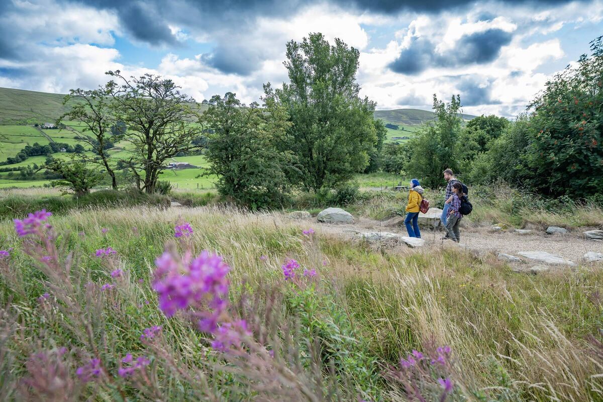 Explore Tyrone's magnificent Sperrin mountains. Explore Tyrone's magnificent Sperrin mountains.