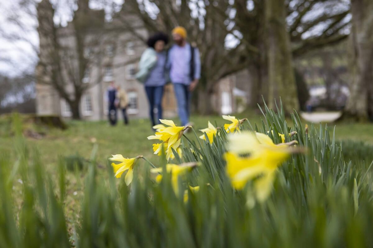 Discover why the stunning Glenarm Castle Walled Garden has garnered international acclaim. Discover why the stunning Glenarm Castle Walled Garden has garnered international acclaim.