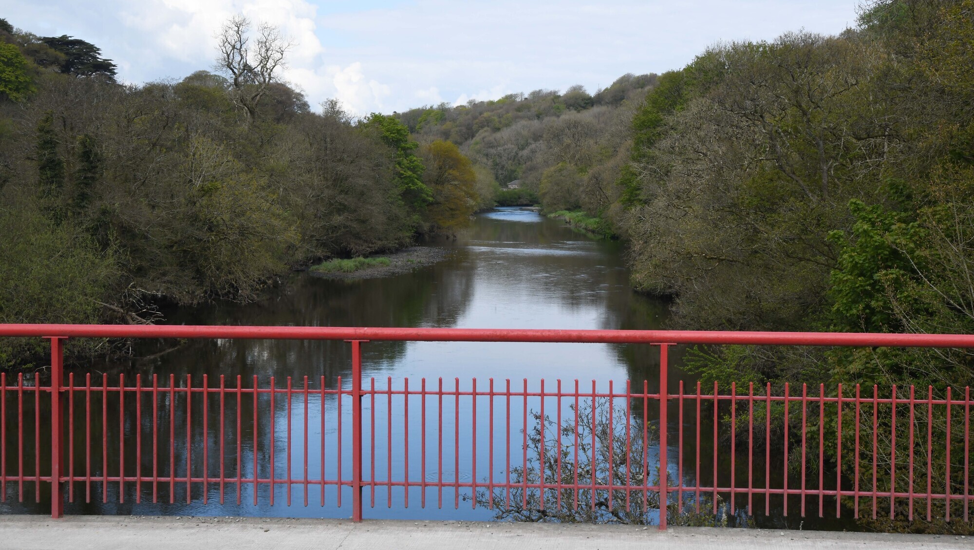 Council calls for Government funding to stop raw sewage backing up in Cork village