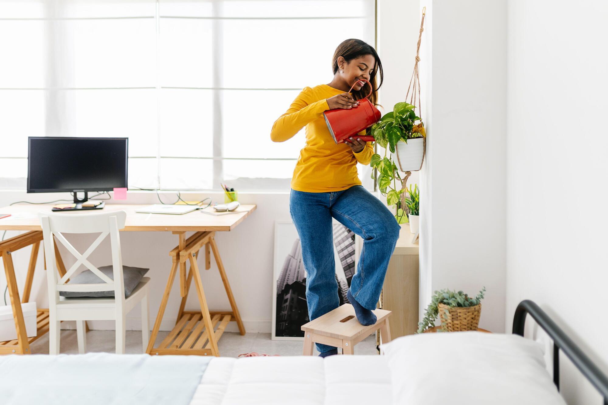 As demand for houseplants soars: What are the best and hardiest plants for your home?