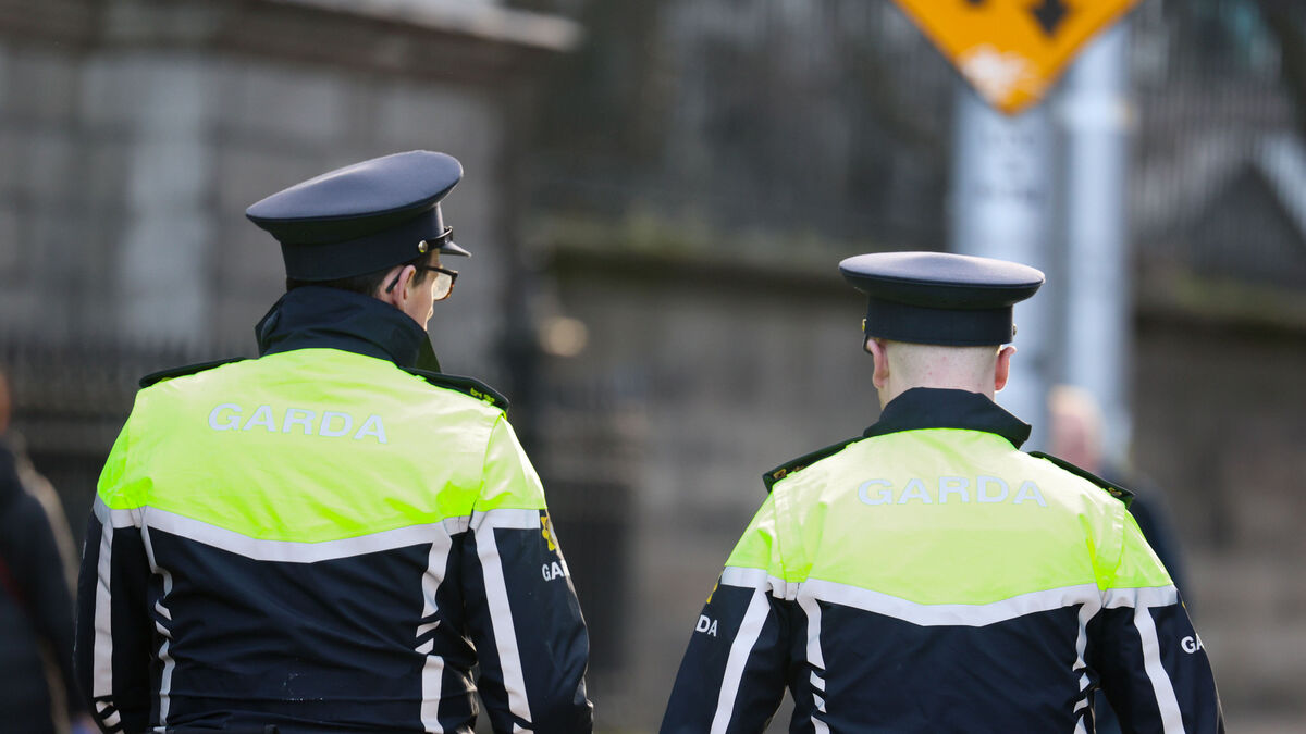 Policing Authority criticise gardaí for preventing access to 999 call recordings - Vimarsana News