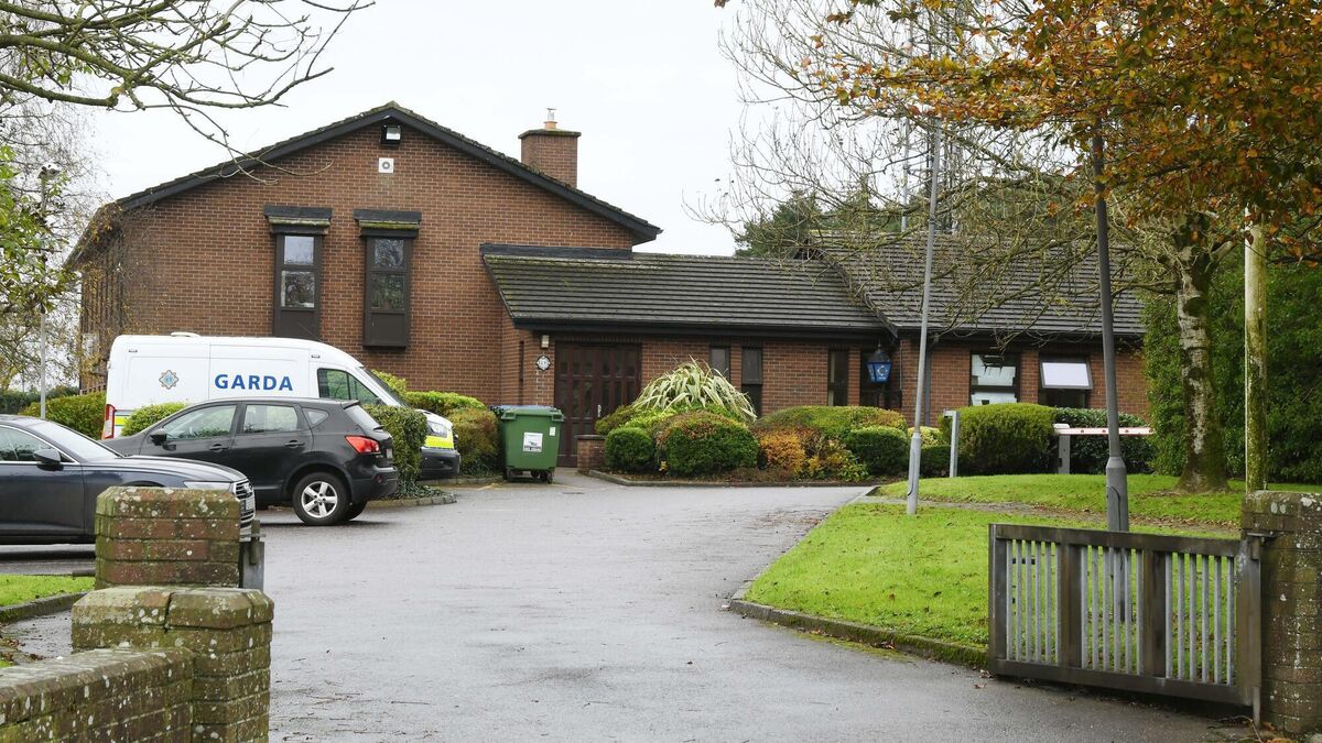 Cork woman bit garda's hand during arrest, court told - Vimarsana News