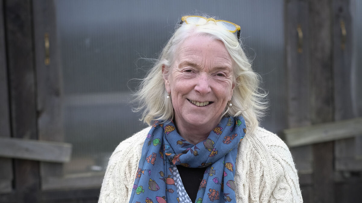 Cork's wild salmon warrior Sally Fens Barnes looks to the future - Vimarsana News