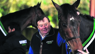 <p>RACE AGAINST TIME: Trainer Nicky Henderson, with Constitution Hill, will have to be brave enough to wait and see if his prize horse will come right in time for Cheltenham. <span class="contextmenu emphasis CaptionCredit">Pic: David Davies</span>
            </p>