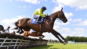 <p>On Sunday’s card in Leopardstown, Snake Oil can gain a first winning bracket over fences by taking the Quinnbet Handicap Listed Chase. Picture: Healy Racing</p>