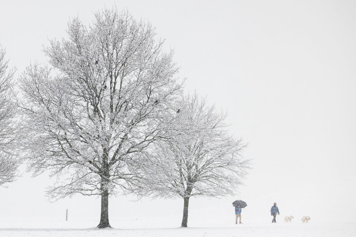 Walkers brave the cold conditions during Friday's snowfall in the Phoenix Park, Dublin. Picture: Naoise Culhane Walkers brave the cold conditions during Friday's snowfall in the Phoenix Park, Dublin. Picture: Naoise Culhane
