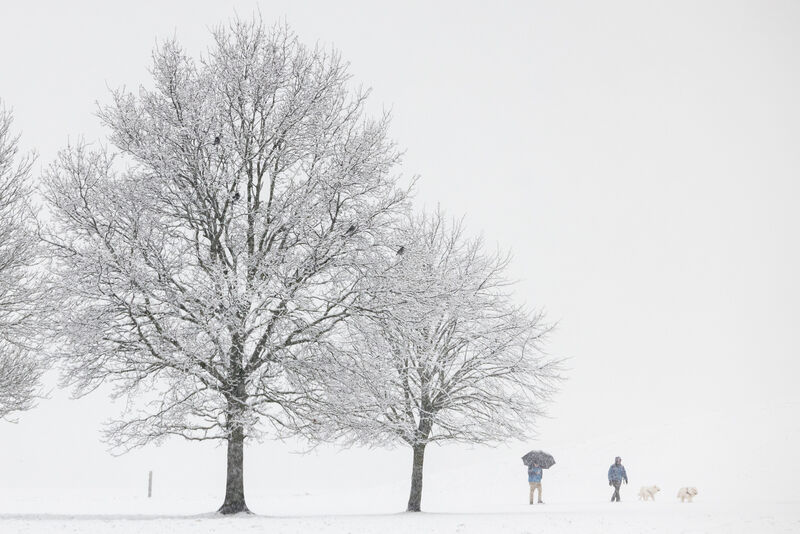 Walkers brave the cold conditions during Friday's snowfall in the Phoenix Park, Dublin. Picture: Naoise Culhane Walkers brave the cold conditions during Friday's snowfall in the Phoenix Park, Dublin. Picture: Naoise Culhane