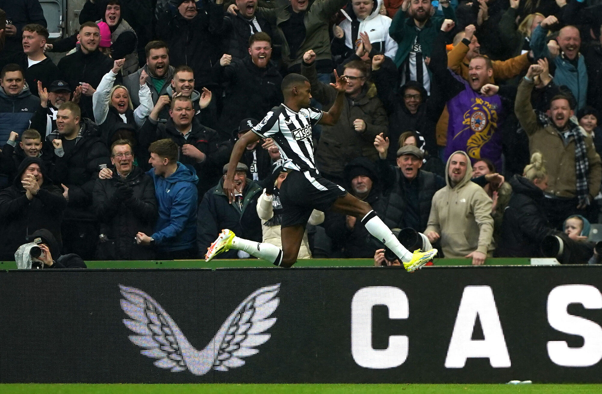 Newcastle reignite European hopes with convincing win over Wolves
