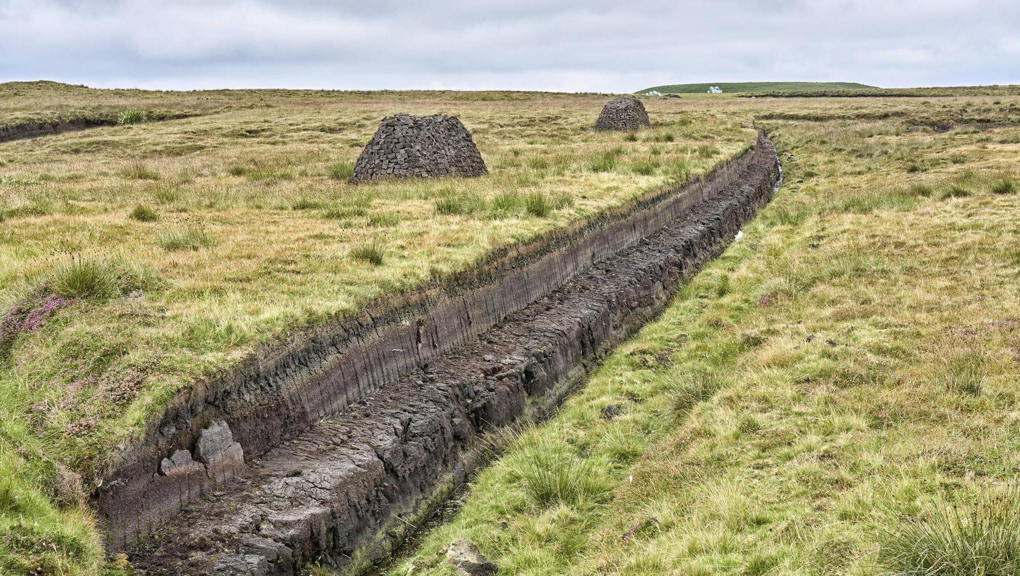 Research shows carbon emitting peat extraction figures vastly unreported 