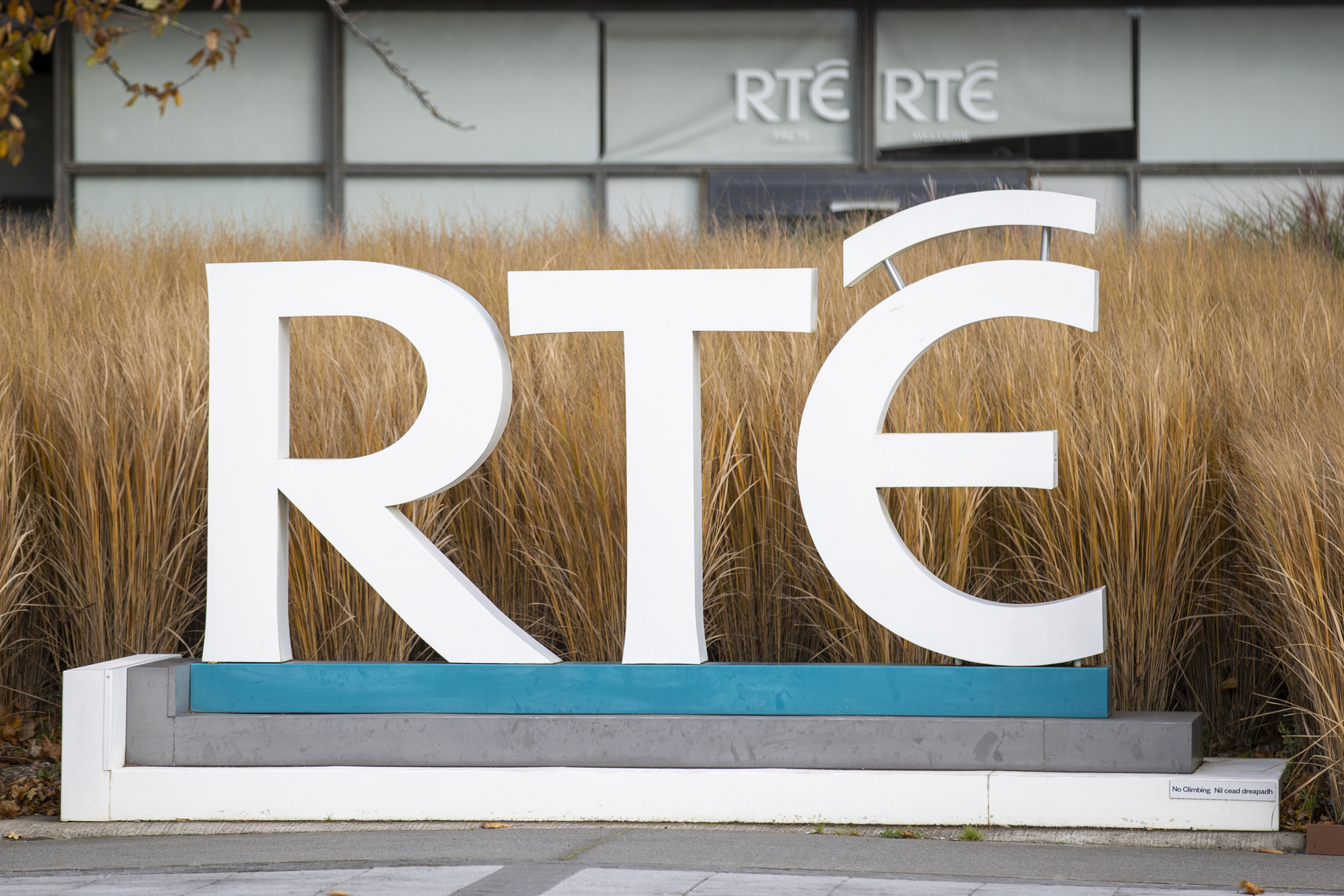 Another member of RTÉ Board to step down 'for work-related reasons' 