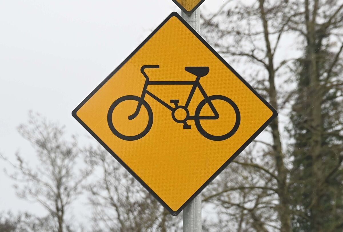 15% of adults in the Limerick/Shannon metropolitan area cycle at least once a week. File picture: Denis Minihane