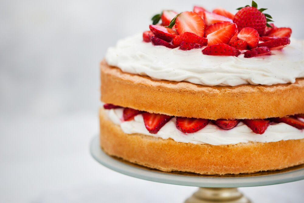 Cream sponge