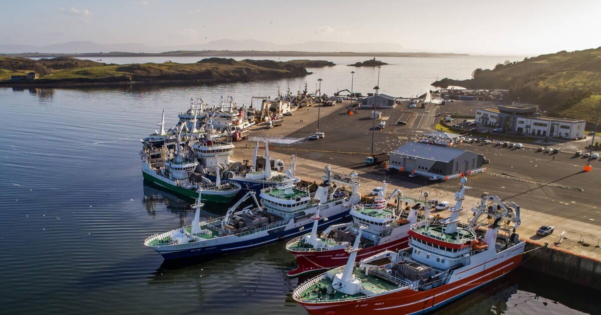 Consumers will be hit with fish price hikes unless State intervenes in fishing crisis