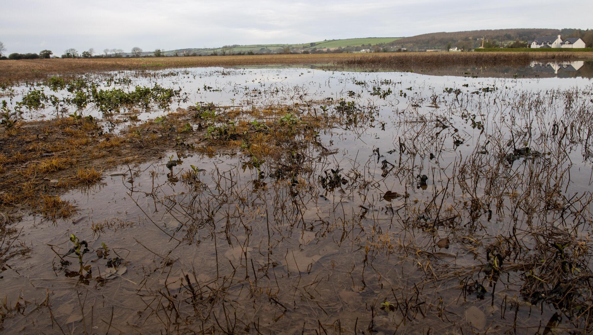 Irish farmers prepare for long-term impacts of climate change
