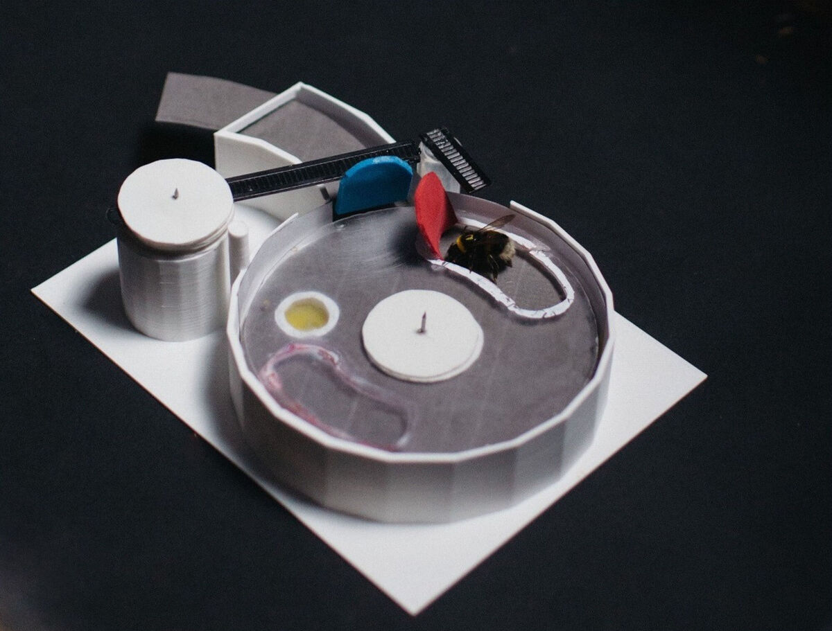 To access the reward, the bee has to rotate the transparent lid, by pushing the red tab. However, the red tab can only be moved once the blue tab has been pushed out of the way first. Picture: Queen Mary University of London/PA Wire