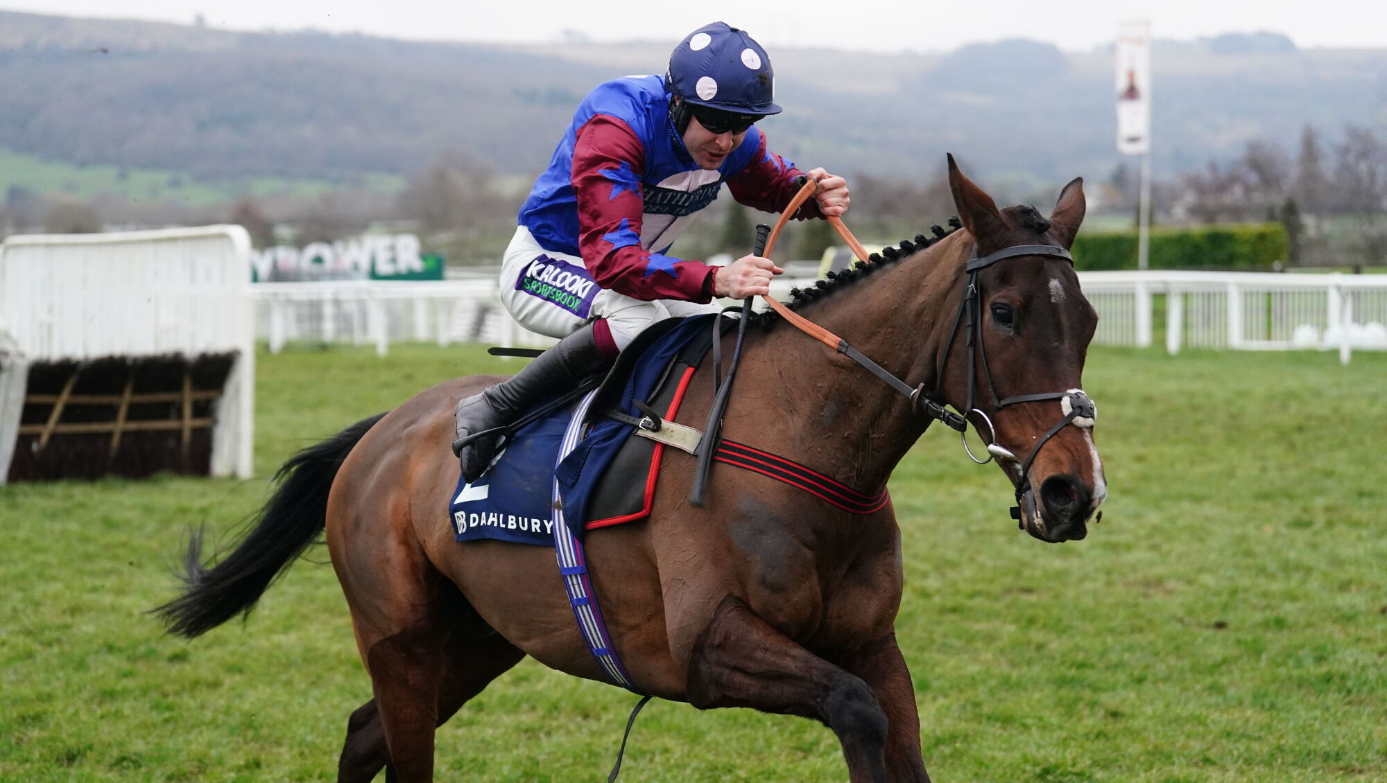 Stayers' Hurdle glory would see Paisley Park bow out at top
