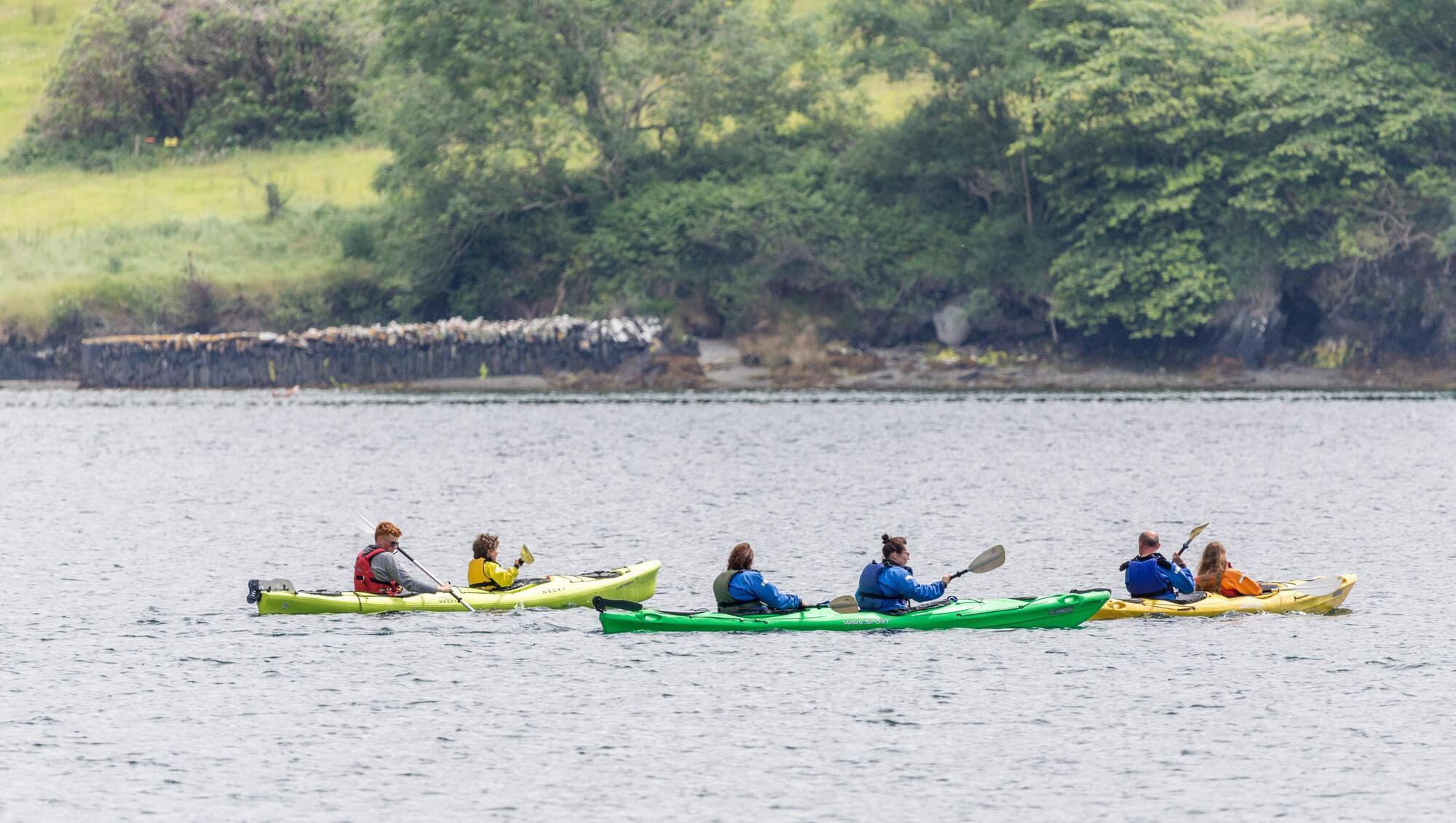 Rowing Ireland: 'Pull like a dog' for adventure holiday fun