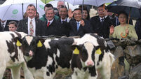Hopes for Irish beef ban in China to be lifted