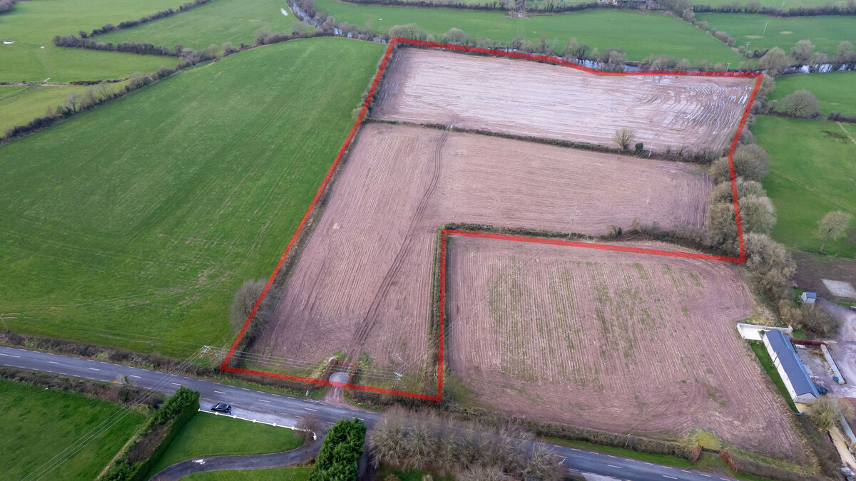 Brace of East Cork properties guiding at around €20k/acre - Vimarsana News