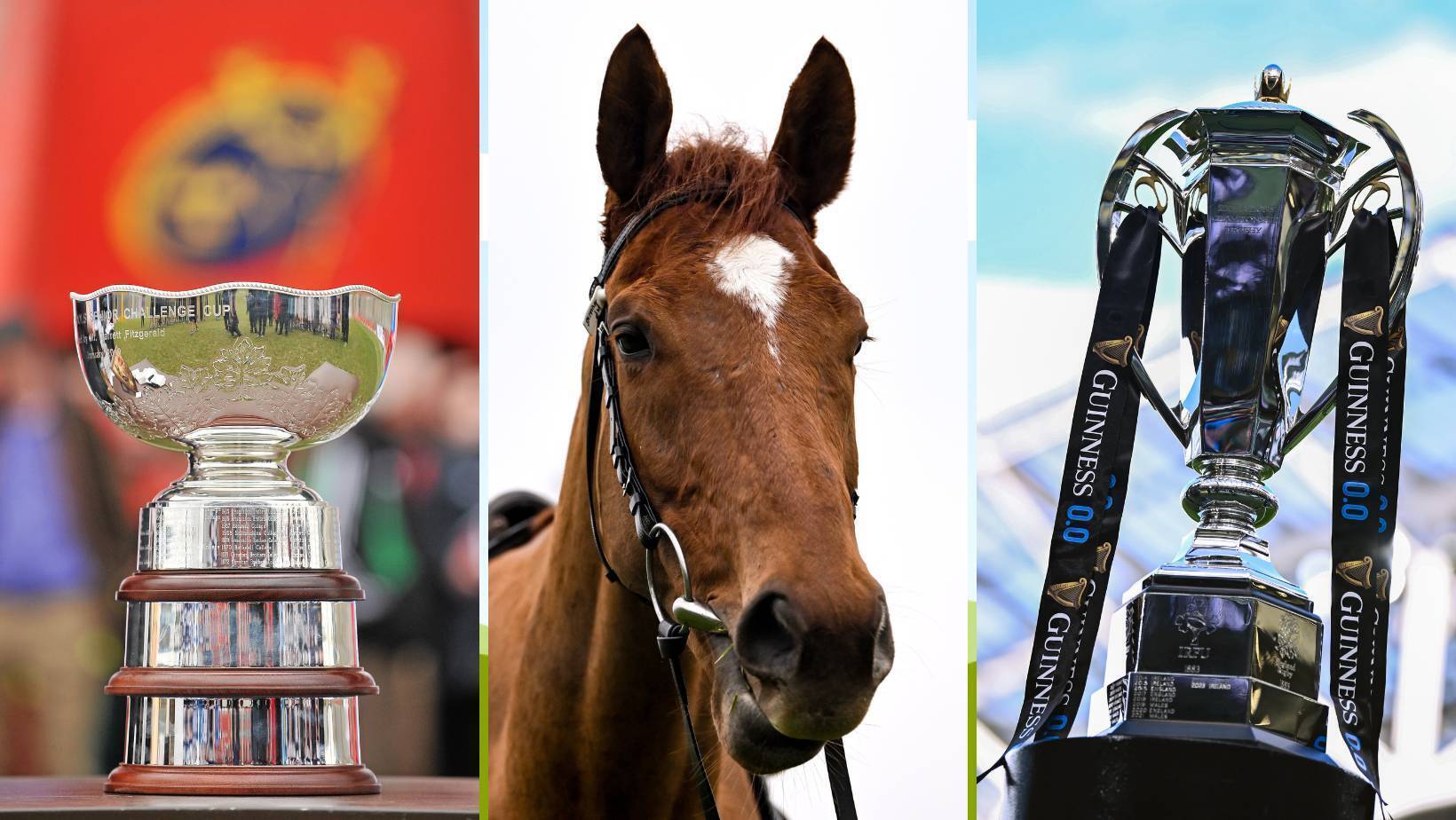 Cheltenham, Guinness Six Nations and Munster Schools Senior Cup final: your sport on TV this week