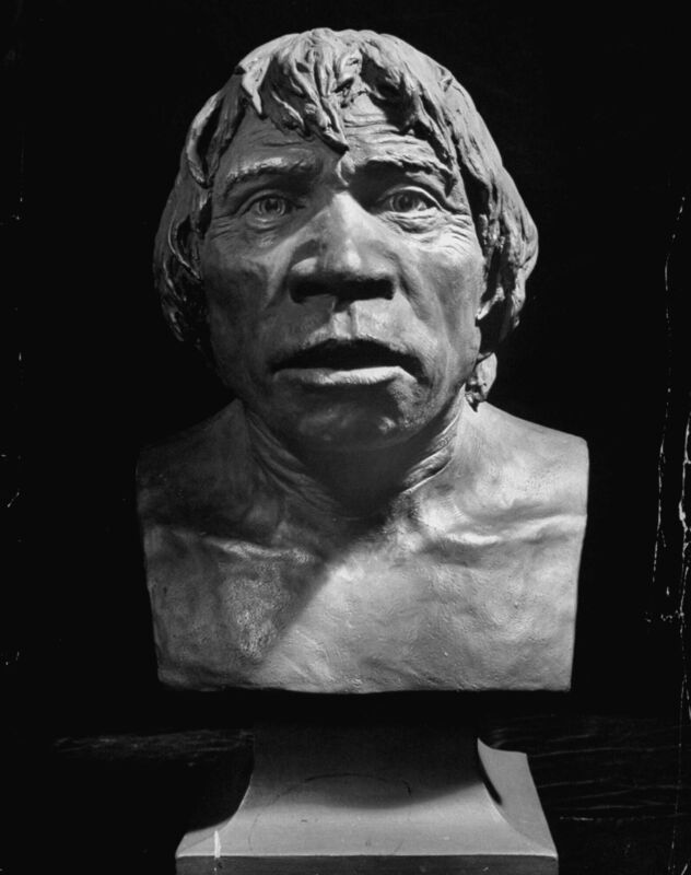 Close up shot of a bust of the Piltdown Man. Picture: Peter Stackpole/The LIFE Picture Collection/Getty Images Close up shot of a bust of the Piltdown Man. Picture: Peter Stackpole/The LIFE Picture Collection/Getty Images
