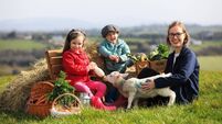 Animal attractions for all the family to enjoy this Easter