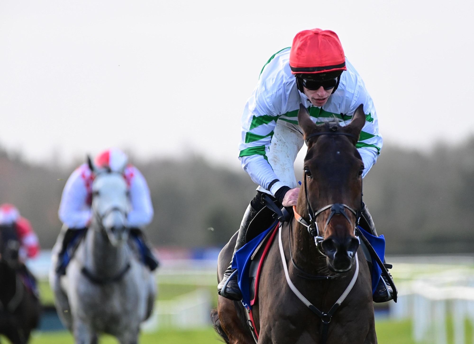 Cheltenham each-way hopes: There are Better Days ahead...if you search hard enough