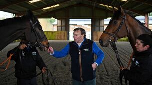 <p>RUDE HEALTH: Trainer Nicky Henderson poses with Shishkin (left) and Sir Gino at Seven Barrows, near Lambourn</p>