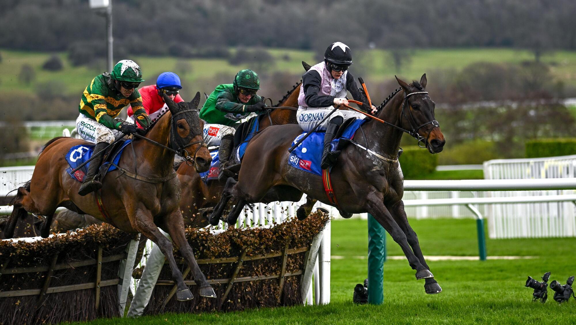 Slade Steel and Blackmore show mettle to reign Supreme at Cheltenham
