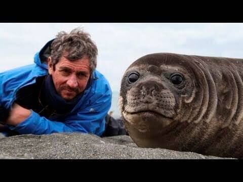 Charlie Bird with a seal in the Arctic Charlie Bird with a seal in the Arctic