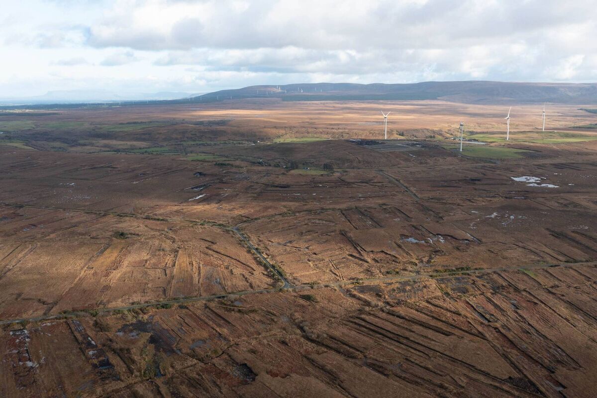 The Ballyfarney site was partially used as an agricultural land, and historically was used for peat harvesting. Picture: Vincent Monahan - Duck Upon Rock Productions