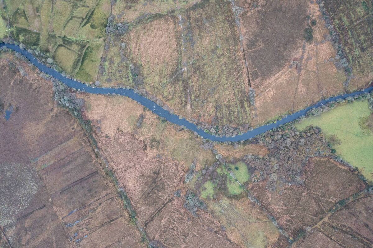 The 88-acre Ballyfarney site is situated along the Easkey River in County Sligo and is a part of Hometree's Wild Atlantic Rainforest Project. Picture: Vincent Monahan / Duck Upon Rock Productions