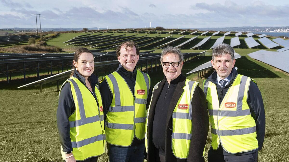 Dairygold to power plants with solar energy from Cork grain supplier's farm - Vimarsana News