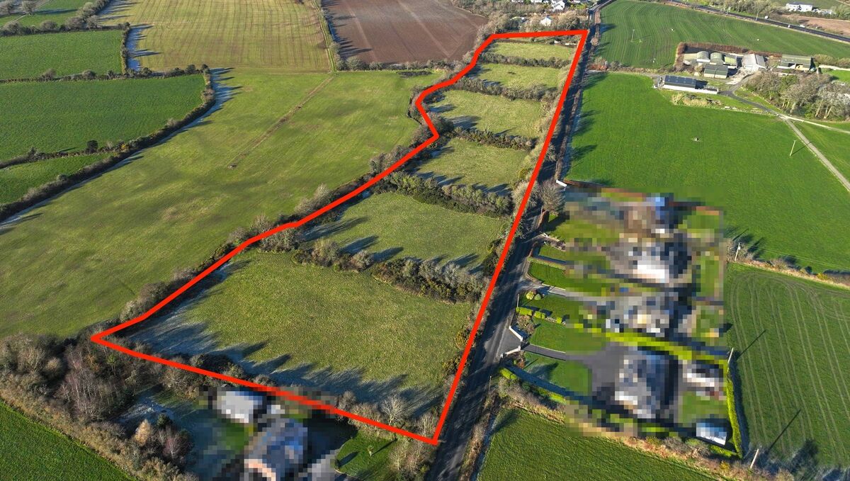The 10.6-acre parcel of land at Ballinaboola, County Wexford that sold recently at auction for €360,000.
