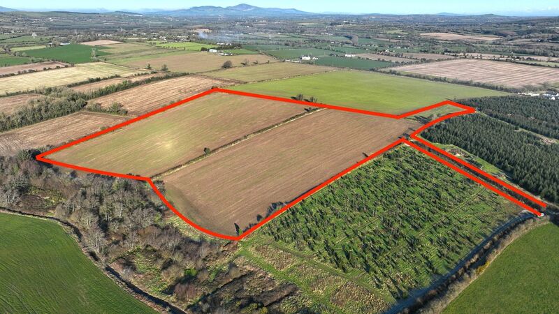 Triple success at Wexford auctions shows demand for smaller parcels of land Triple success at Wexford auctions shows demand for smaller parcels of land
