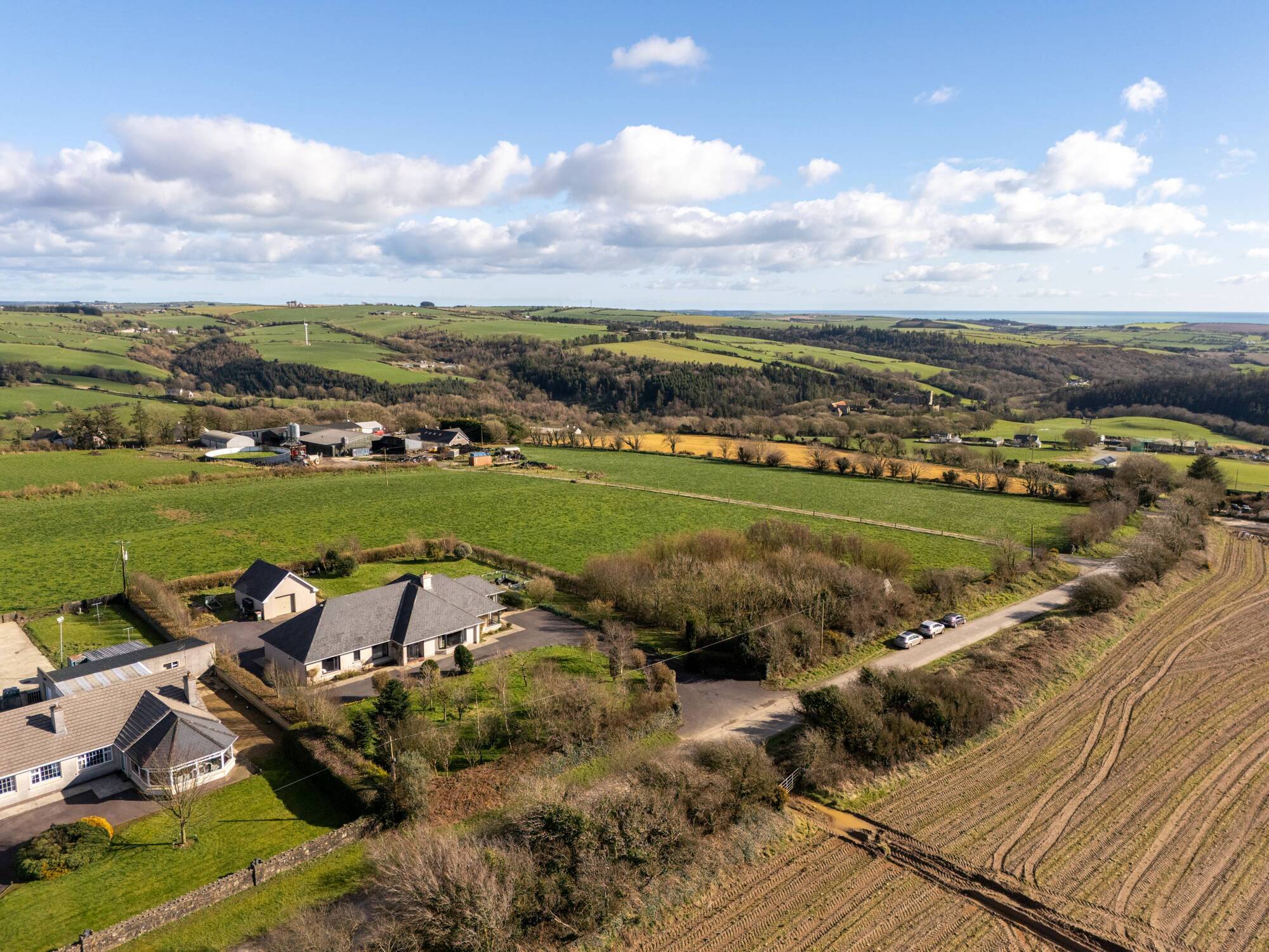 From wandering whales to Disney castles, Kilbrittain rolls out a West Cork welcome