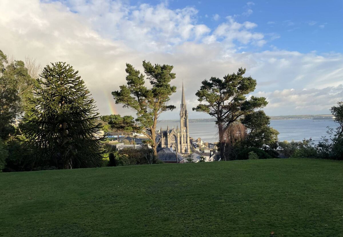 Open views Open views