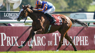 <p>BIG TALENT: Opera Singer struck Group 1 gold when storming to victory in  the Qatar Prix Marcel Boussac last season. 	Picture: Healy Racing</p>