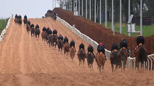 <p>STEEP CLIMB: Horses doing their morning exercise at Ballydoyle on Wednesday. 	Picture: Healy Racing</p>