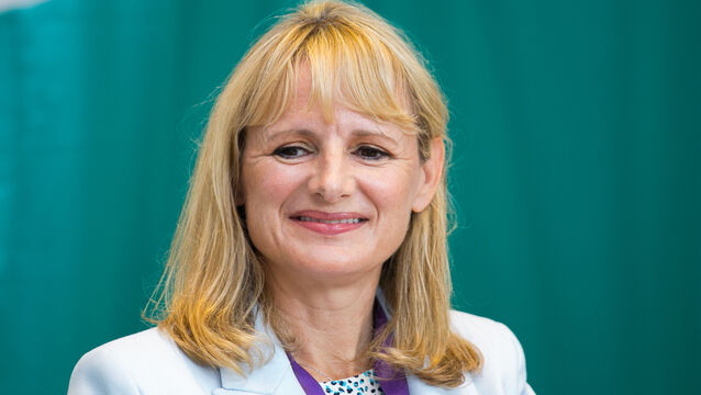 <p>Professor Breda Smyth will take up a new role with the Royal College of Surgeons in Dublin. File picture: Gareth Chaney/ Collins Photos</p>