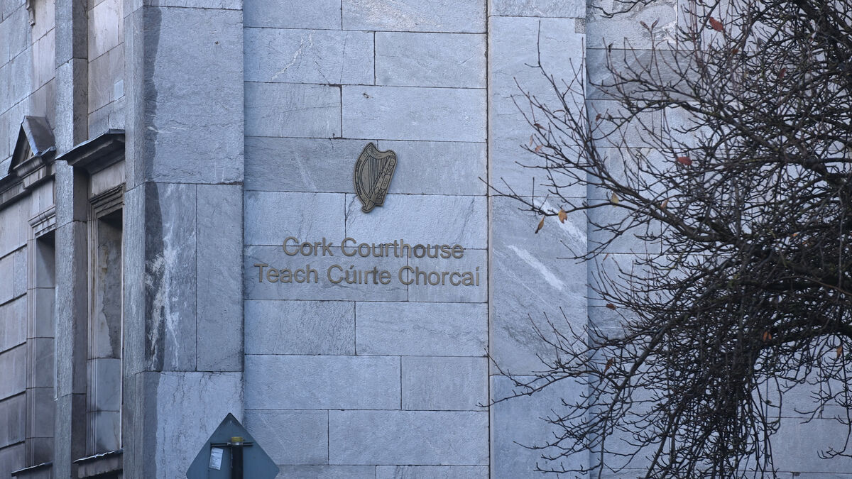 Homeless Corkman living in tent in former neighbour's garden stole car owned by person in the area - Vimarsana News