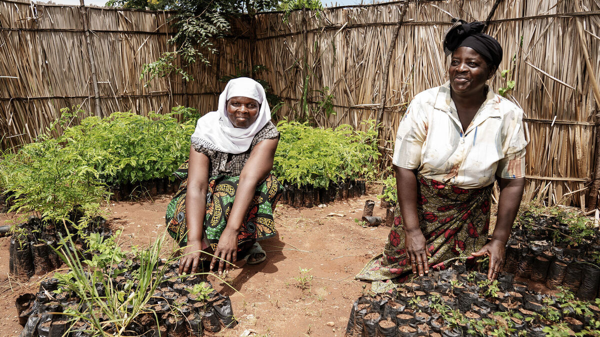 Irish aid worker: Malawi faces existential threat due to climate change