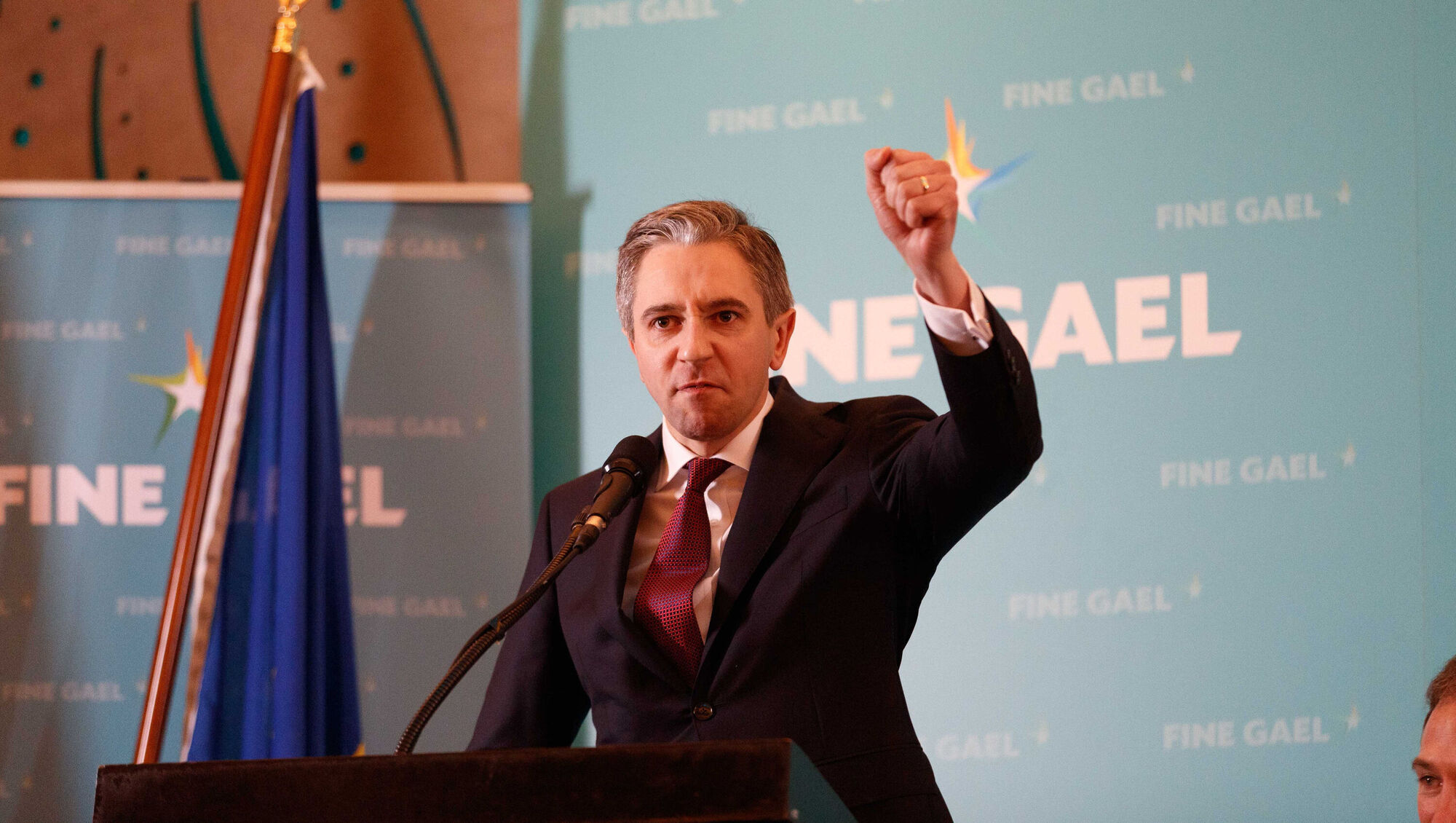 Fine Gael leader Simon Harris rules out early election
