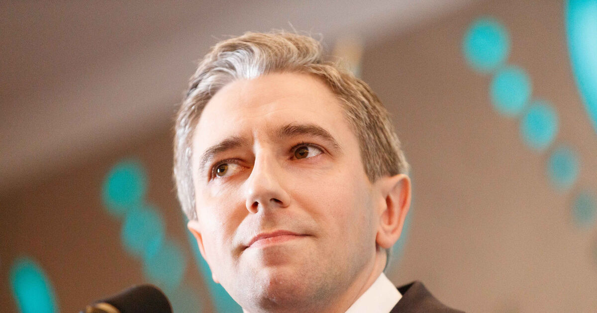 SaveJobs.ie Lobbies for Small Firms