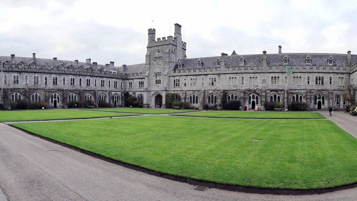 Two leading professors from University College Cork say the issue could hurt children's development and cause issues with healthy aging among older adults.