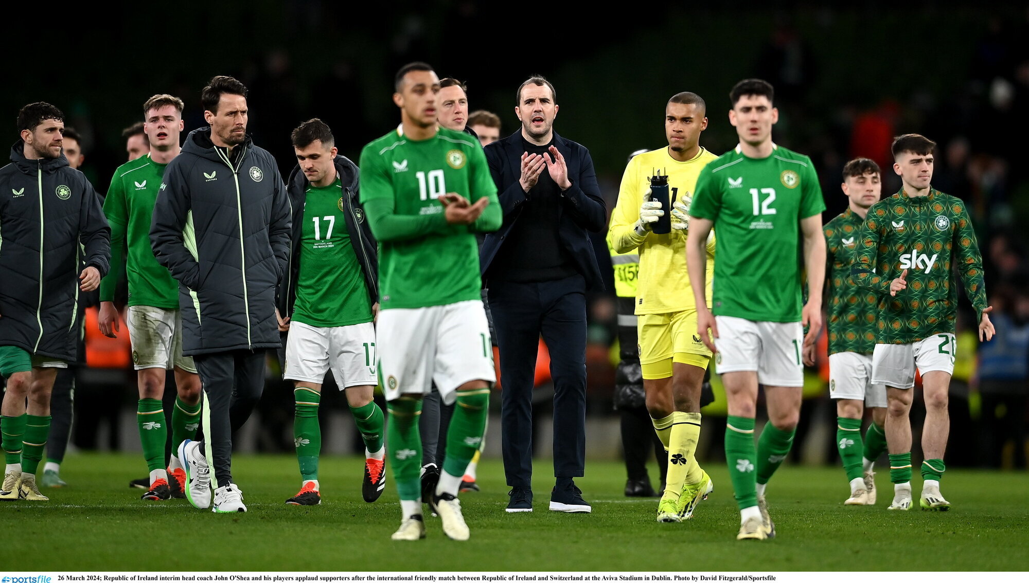 Friendly fire can't dictate what happens next with Ireland job