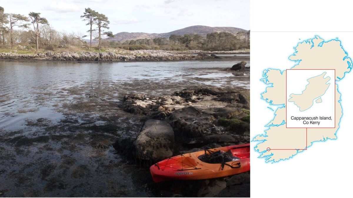 Islands of Ireland: A marble universe at Cappanacush Island, County Kerry - Vimarsana News