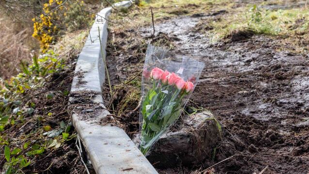 <p>Flowers at he scene of a fatal crash on the N17 near Claremorris where a woman and two childred were killed. Picture: Andy Newman</p>