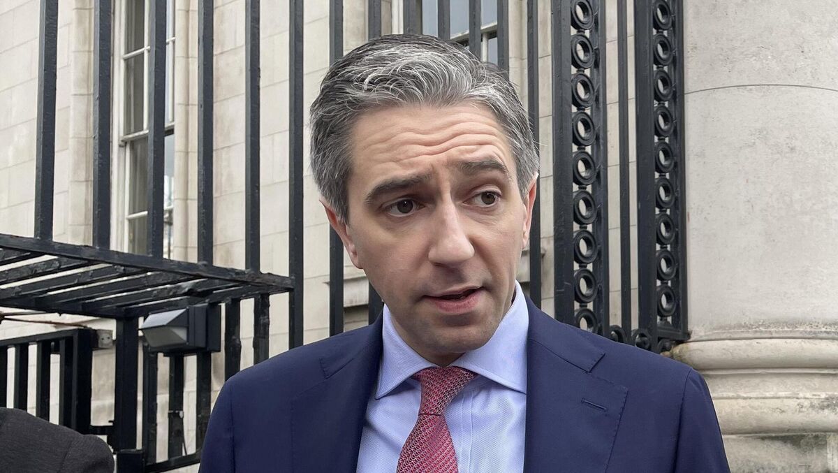Simon Harris has a 'strong presence' on the newer social platforms, with a "robust online" strategy in place. Picture: Grainne Ni Aodha/PA Wire